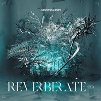 REVERBERATE ep. (初回盤A 日比谷野音ライブDVD付) | White Wings2