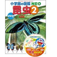 昆虫2 DVDつき: 地球編 (小学館の図鑑NEO) | White Wings2