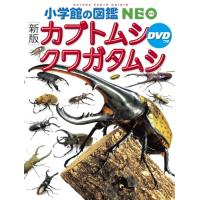 ［新版］カブトムシ・クワガタムシ　ＤＶＤつき (小学館の図鑑NEO 16) | White Wings2