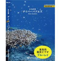 ブルーレイ　業務用鑑賞映像「水中映像・ダイバーバブルズ・ハイビジョン」著作権フリー・商用可・空間演出・ハイビジョン・業務用ヒーリングビデオ | 店内音楽CD WHITE BGM Yahoo!店