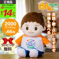 スマイルけんちゃん 音声認識人形 おしゃべり人形 高齢者 おしゃべりロボット  ぬいぐるみ けんちゃん 介護人形 男の子 しゃべる人形 79715 | 暮らしの幸便