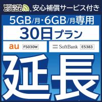 延長用 Softbank LTE【レンタル】 Pocket WiFi LTE 607HW 1日当 