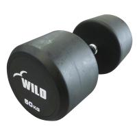 固定式ダンベル 55kg WF (代金引換不可) / WILD FIT ワイルドフィット ...