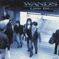 WANDS ワンズ / Little Bit… リトル・ビット… / 1993.10.06 / 3rdアルバム / TOCT-8190 | WINDCOLOR MUSIC