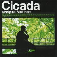 槇原敬之 / Cicada シカーダ / 1999.07.07 / 9thアルバム / 初回限定盤 / 2CD / SRCL-4539-4540 | WINDCOLOR MUSIC