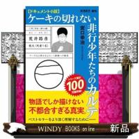 ドキュメント小説　ケーキの切れない非行少年たちのカルテ  新潮新書　９６５ | WINDY BOOKS on line