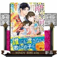 財閥御曹司は離婚前夜のベビーごと激愛で囲う〜両家にお世継ぎは渡さない〜（仮） | WINDY BOOKS on line