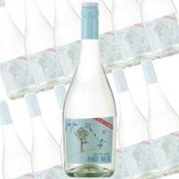 ピノ・ピノ　フリッツァンテ/MGMモンド・デル・ヴィーノ　750ml×12本　(白スパークワイン） | ワイン本舗ヴァン・ヴィーノ