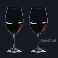 リーデル　オヴァチュア（6408/00）レッドワイングラス2脚セット(お取り寄せ)(正規品) | ワインセラーエスカルゴ