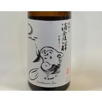 日本酒　純米吟醸 浦霞禅 (2025.10月製造)　720ml | Wine Navi ワインナビ ヤフー店
