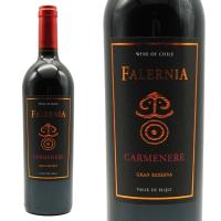 ビーニャ ファレルニア カルメネール グラン レセルバ 2020 D.O.エルキ バレー 重厚ボトル | うきうきワインの玉手箱