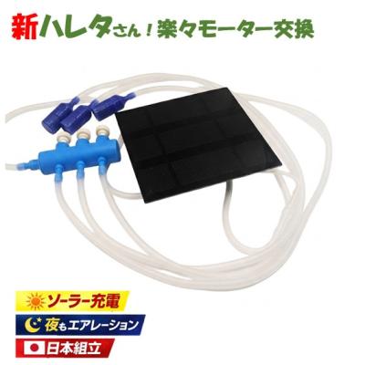 エアーポンプ 水槽 分岐（フィルター、ポンプ、ろ材（水槽