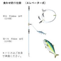 ダブル ワイヤーハリス トレブルフック 直径0 24mm 泳がせ釣り 仕掛け ヒラメ 仕掛け ヒラメ仕掛け 釣り ワイヤー 泳がせ 釣り 針 飲ませ釣り 泳がせ 仕掛け 山下漁具店 通販 Yahoo ショッピング
