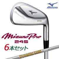 ミズノ ミズノプロ 245  アイアン 6本組(No.5〜PW) (Dynamic Gold 95 スチールシャフト（S200／95g）) 5KJWS33306 Mizuno Pro 245 | ウイニングゴルフ