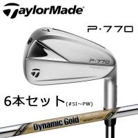 テーラーメイド P770 アイアン6本セット(#5I〜PW) Dynamic Gold EX Tour Issue スチール TaylorMade ゴルフ ダイナミックゴールド | ウイニングゴルフ