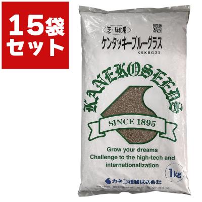 ケンタッキーブルーグラス 1kg 11袋 未使用 使用済み1袋 芝生 種