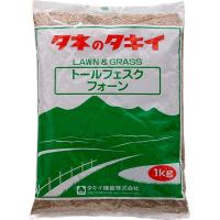 トールフェスク フォーン BFE501 1kg タキイ種苗 タネのタキイ 芝種 送料無料 代金引換不可 | ワイズライフYahoo!店