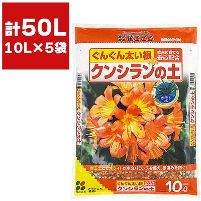 君子蘭 鉢のおすすめ人気商品一覧 通販 - Yahoo!ショッピング