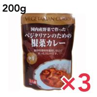 カレー ベジタリアン  ベジタリアンのための根菜カレー 200g 中辛 桜井食品 ヴィーガン ビーガン 3個セット | いろどりマーケット