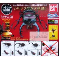 朝隈俊男 Animaljazz アニマルジャズ 全5種セット ガチャ ガシャ コンプリート G キッズルーム 通販 Yahoo ショッピング