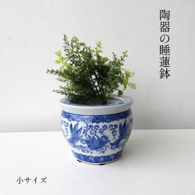 睡蓮 鉢の商品一覧 通販 - Yahoo!ショッピング
