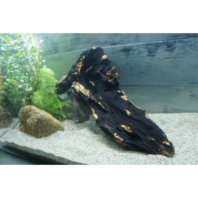 水槽 流木 アク抜きのおすすめ人気商品一覧 通販 - Yahoo!ショッピング