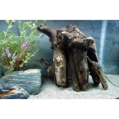 流木　大型　メダカ　水槽　インテリア メダカ（水槽用流木）｜レイアウト用品｜熱帯魚、アクアリウム用品