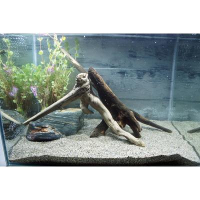 水槽セット（水槽用流木）｜レイアウト用品｜熱帯魚、アクアリウム用品