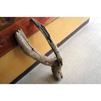 k50アク抜き済み流木 爬虫類シェルター レイアウト用 登り木 インテリア 流木No.368アク抜き済 煮沸紫外線殺菌済 爬虫類トカゲシェルター