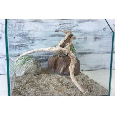 爬虫類 流木（レイアウト用品）｜爬虫類、両生類用品 | ペット用品