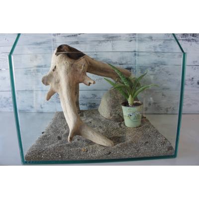 爬虫類 流木(レイアウト用品)の商品一覧|爬虫類、両生類用品 爬虫類 流木(レイアウト用品)の商品一覧|爬虫類、両生類用品