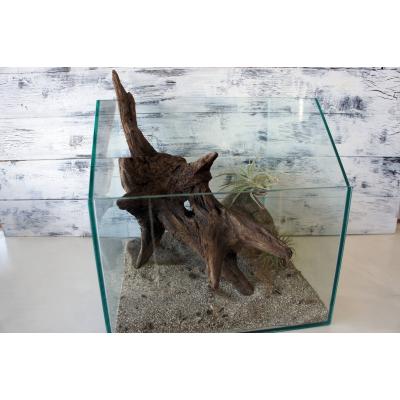 爬虫類 流木（レイアウト用品）｜爬虫類、両生類用品 | ペット用品