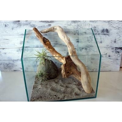 流木インテリア　爬虫類 爬虫類 流木（レイアウト用品）｜爬虫類、両生類用品 | ペット用品