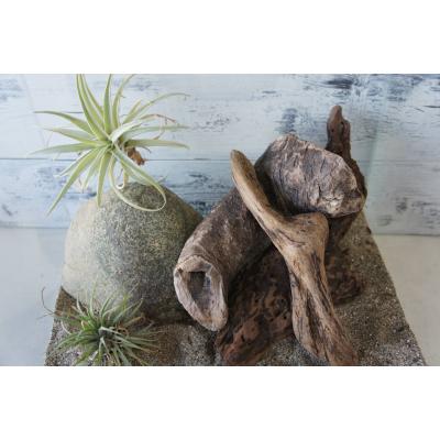 爬虫類 流木（レイアウト用品）｜爬虫類、両生類用品 | ペット用品