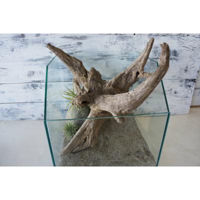 爬虫類 流木（レイアウト用品）｜爬虫類、両生類用品 | ペット用品