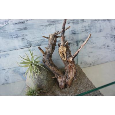 爬虫類 流木（レイアウト用品）｜爬虫類、両生類用品 | ペット用品