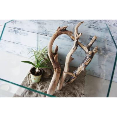 爬虫類 流木（レイアウト用品）｜爬虫類、両生類用品 | ペット用品