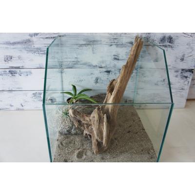 WOOD DROPS - テラリウム、爬虫類、昆虫｜Yahoo!ショッピング