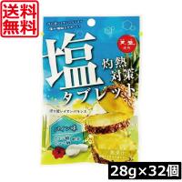 送料無料 赤穂化成 灼熱対策 塩タブレット パイン味 28g　×32個 塩分補給 | ワールドコンタクト