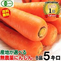 あすつく 無農薬にんじん 5キロ 産地が選べる 訳あり 無農薬人参 5kg ジュース用 ジュースに最適 クール便対応 青森期待の新人商店 通販 Yahoo ショッピング