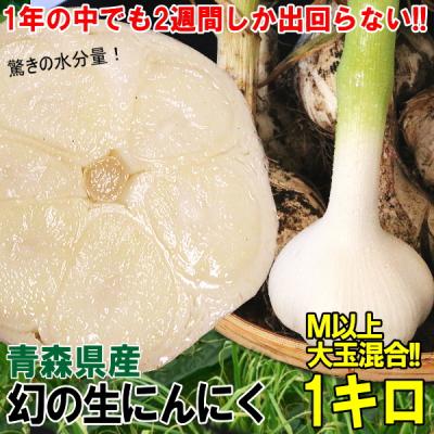 にんにく10kgのおすすめ人気商品一覧 通販 - Yahoo!ショッピング