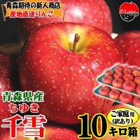 青森県産＂ 千雪 (ちゆき) ＂りんご 家庭用 10kg 産地直送 リンゴ 林檎 最終5180円⇒4980円！即日発送！青森 りんご 10kg箱 千雪 ちゆき ご