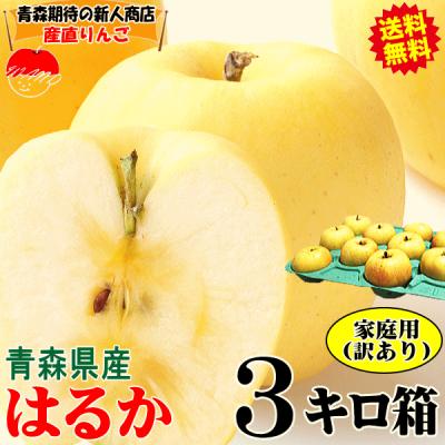 りんご はるかのおすすめ人気商品一覧 通販 - Yahoo!ショッピング