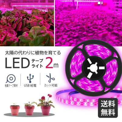 植物育成ライト グローライトのおすすめ人気商品一覧 通販 - Yahoo
