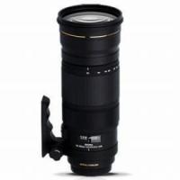 SIGMA 120-300 f2.8の商品一覧 通販 - Yahoo!ショッピング