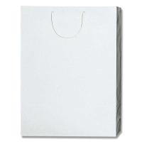 シモジマ 紙袋 ブライトバッグ ＰＢ−ＫＡ 白 | シモジマラッピング倶楽部 Yahoo!店