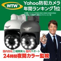 防犯カメラ みてるちゃん5Plus2 屋外 屋内 夜間カラー 防犯灯カメラ 監視カメラ アンテナ内蔵 ワイヤレス WTW-EGDRY388GWX2/BX2