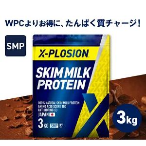 プロテイン 10kg（味：チョコレート味）の商品一覧 通販 - Yahoo
