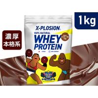 エクスプロージョン WPC 1kg ミルクチョコレート味 100%ホエイプロテイン 大容量 Golden Eggs(シルバー×イエロー)