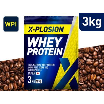 X-PLOSION Yahoo!店 - ホエイプロテイン アイソレート（WPI）｜Yahoo